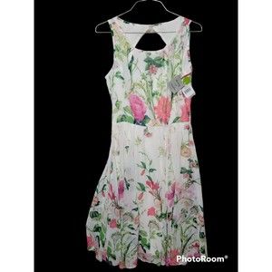 Danny and Nicole Women's SZ 4 Dress Sleeveless Floral Flowy Spring NWT New